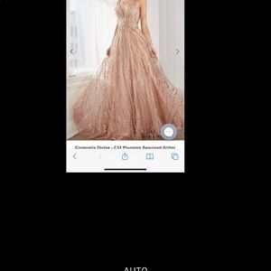 Cinderella Devine -C32 formal gown size 16 NWTag